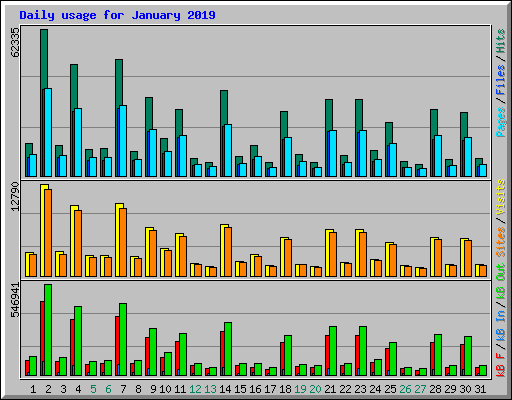 Daily usage for January 2019