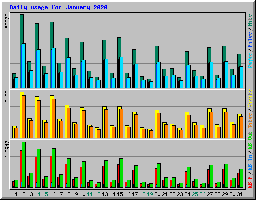 Daily usage for January 2020