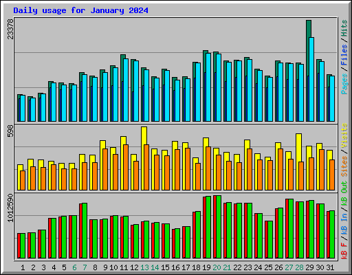 Daily usage for January 2024