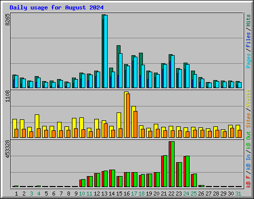 Daily usage for August 2024