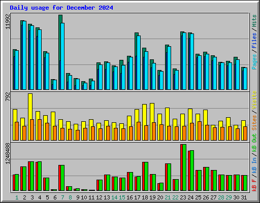 Daily usage for December 2024