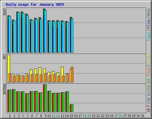 Daily usage for January 2025