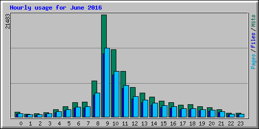 Hourly usage for June 2016