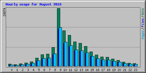 Hourly usage for August 2016