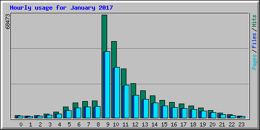 Hourly usage for January 2017
