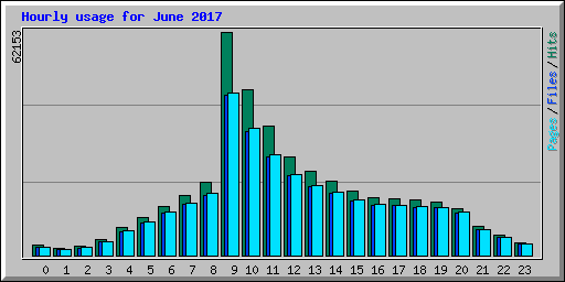 Hourly usage for June 2017