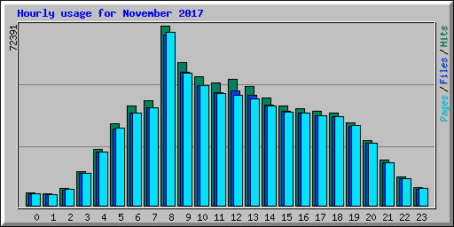 Hourly usage for November 2017