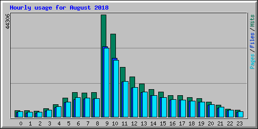 Hourly usage for August 2018