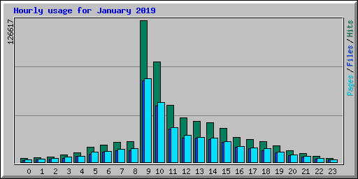 Hourly usage for January 2019