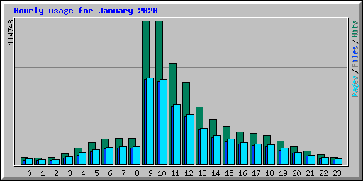 Hourly usage for January 2020