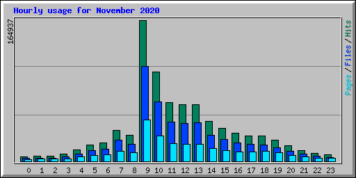 Hourly usage for November 2020