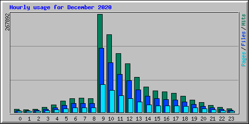 Hourly usage for December 2020