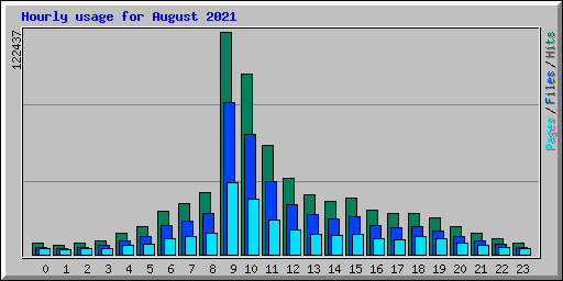 Hourly usage for August 2021