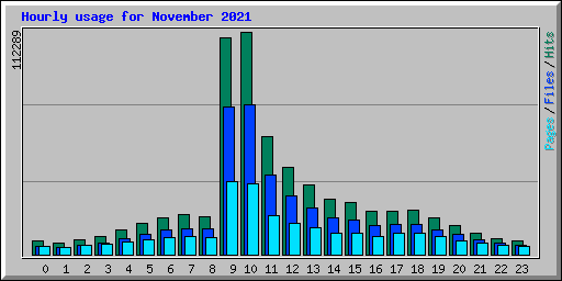 Hourly usage for November 2021