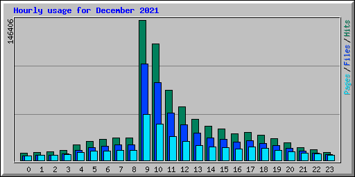 Hourly usage for December 2021