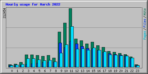 Hourly usage for March 2022