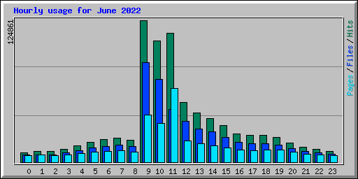 Hourly usage for June 2022