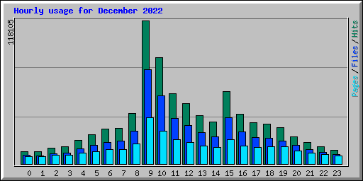 Hourly usage for December 2022