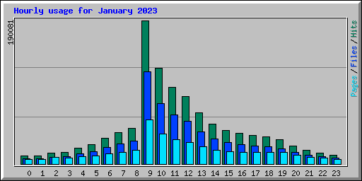 Hourly usage for January 2023