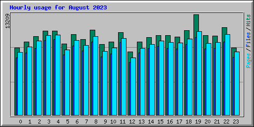 Hourly usage for August 2023