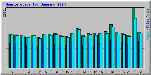 Hourly usage for January 2024