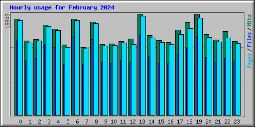 Hourly usage for February 2024