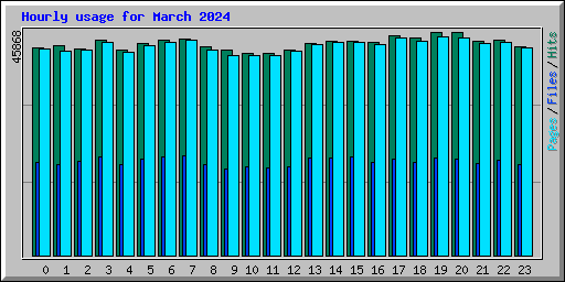 Hourly usage for March 2024