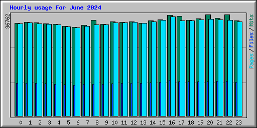 Hourly usage for June 2024