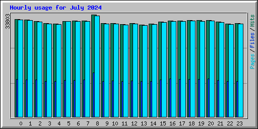 Hourly usage for July 2024