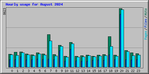 Hourly usage for August 2024