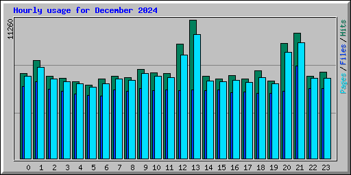 Hourly usage for December 2024