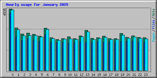 Hourly usage for January 2025