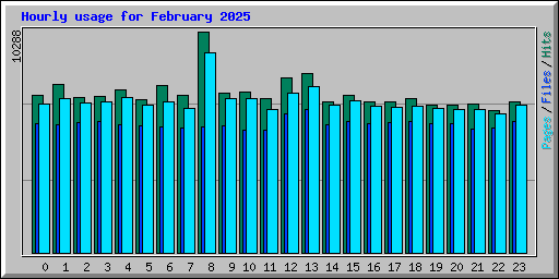 Hourly usage for February 2025