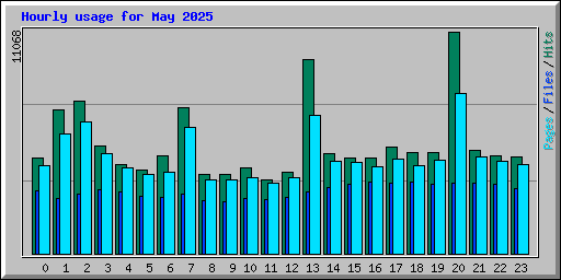 Hourly usage for May 2025