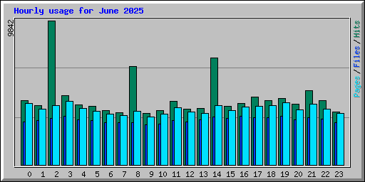 Hourly usage for June 2025
