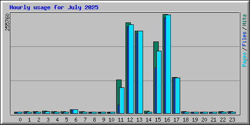 Hourly usage for July 2025