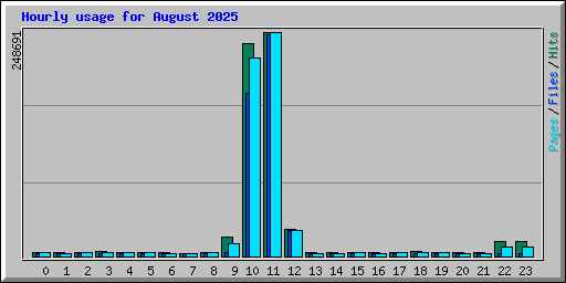 Hourly usage for August 2025