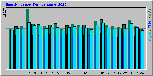 Hourly usage for January 2026