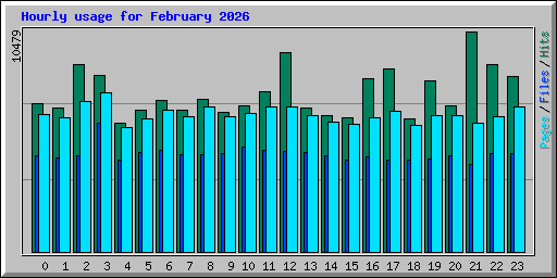 Hourly usage for February 2026
